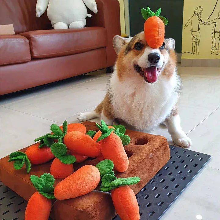 Carrot Patch &trade; - Interactive Dog Toy