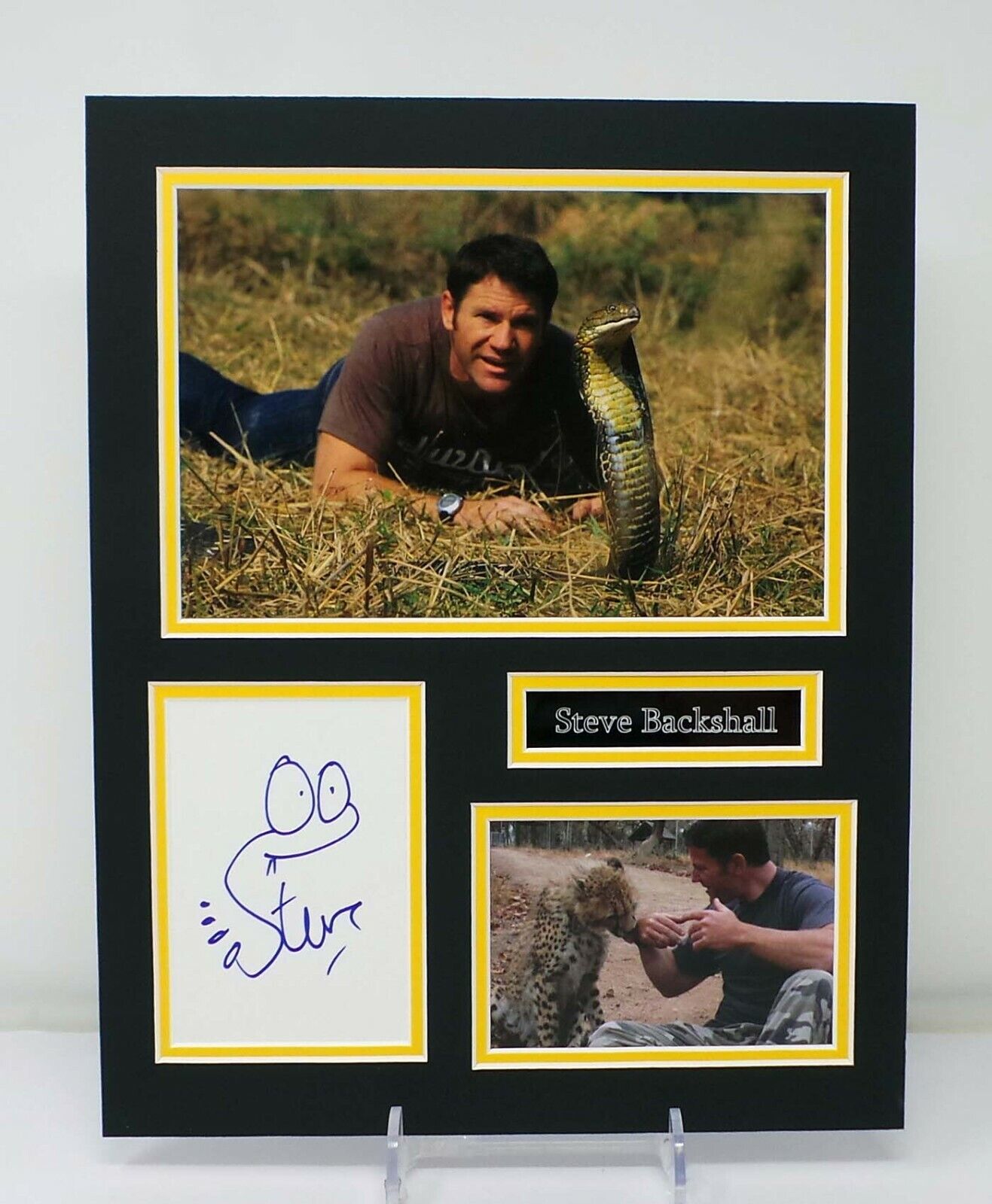 Steve BACKSHALL Signed Mounted Adventurer Naturalist Photo Poster painting Display AFTAL RD COA