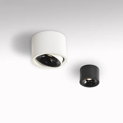 Modern Minimalist Round Spotlight Adjustable LED Flush Mount Ceiling Light