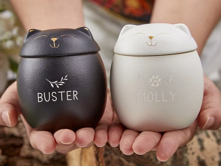 Custom Pet Paw Urn Cat with Name, Modern Pet Ashes Cremation Urn