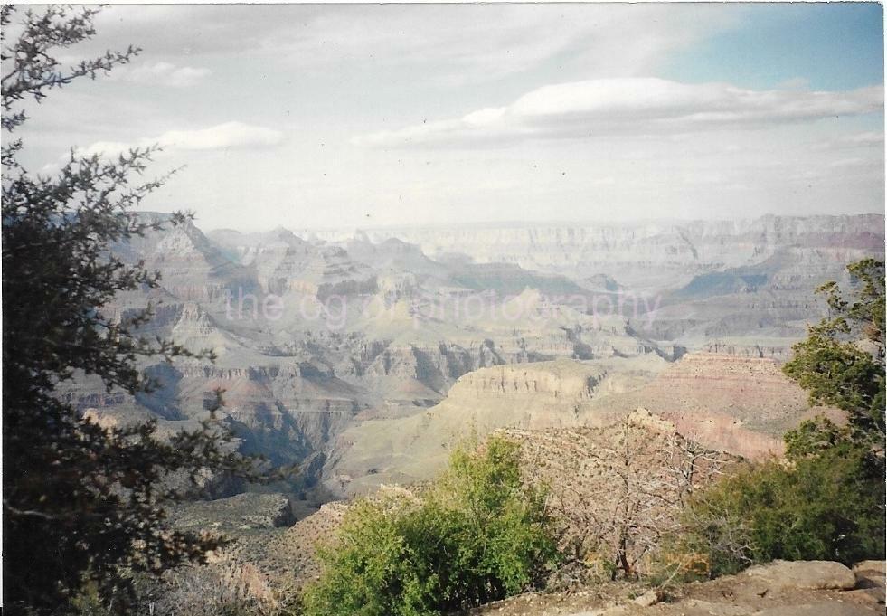 FOUND Photo Poster paintingGRAPH Grand CanyonOriginal Snapshot 21 70 X