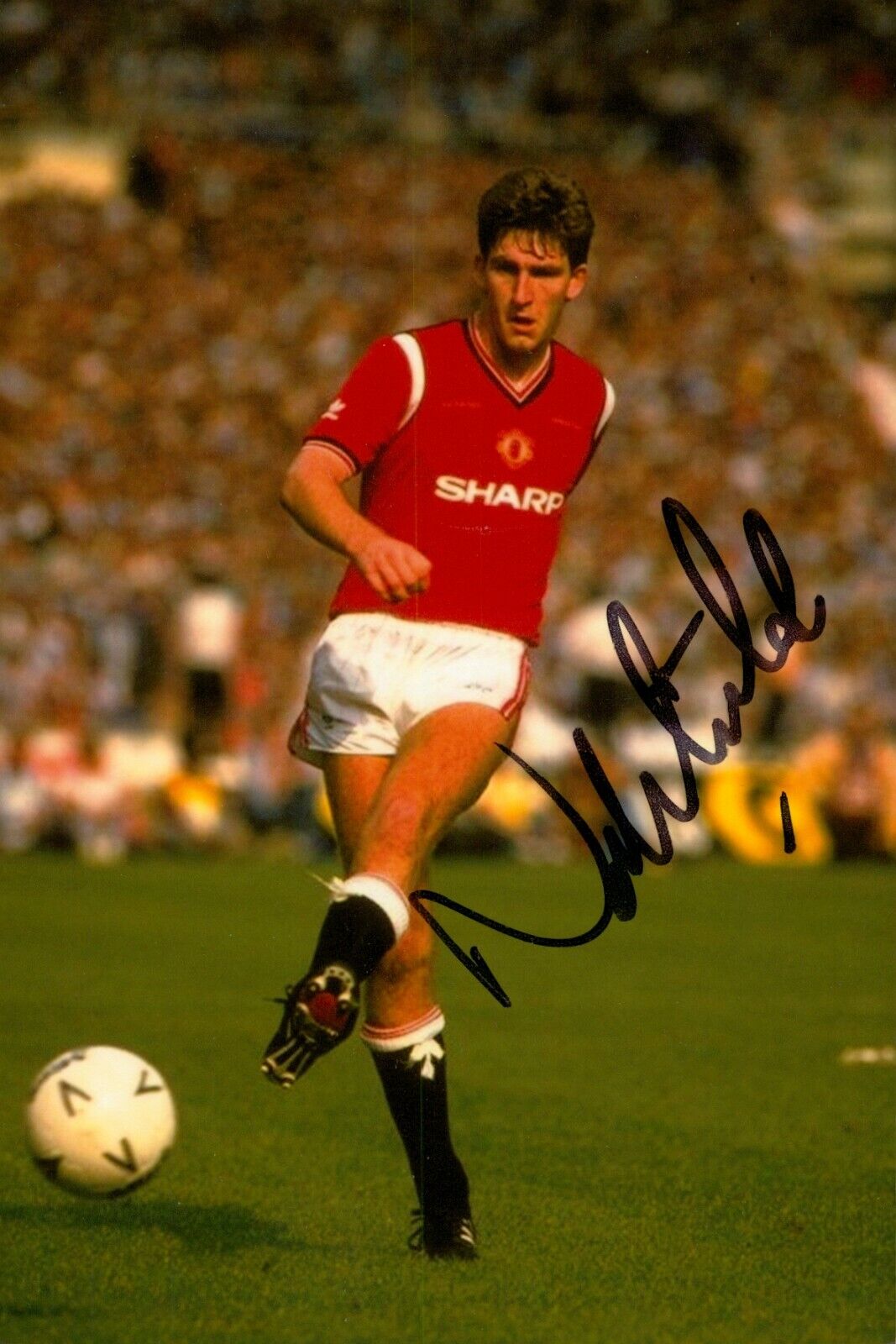 Norman Whiteside Signed 6x4 Photo Poster painting Manchester United N. Ireland Autograph + COA