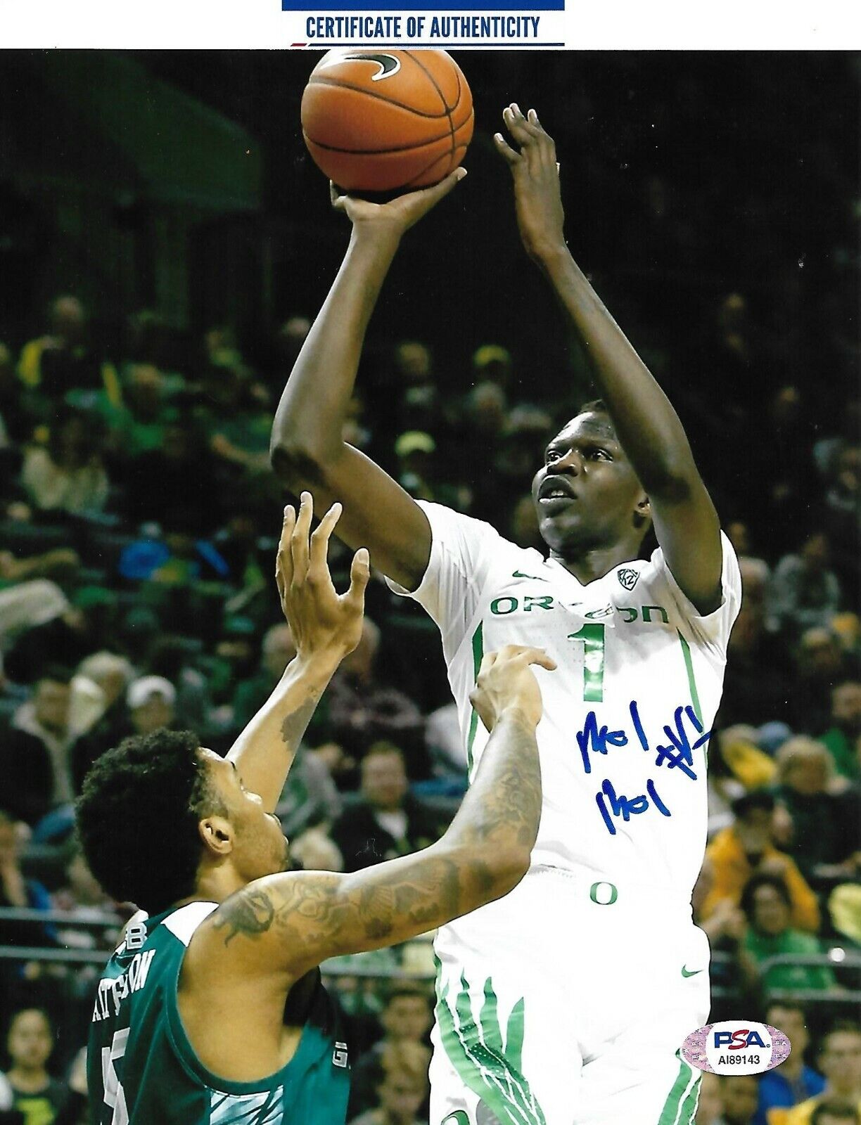 BOL BOL signed autographed OREGON DUCKS 8X10 Photo Poster painting NUGGETS w/ COA PSA AI89143