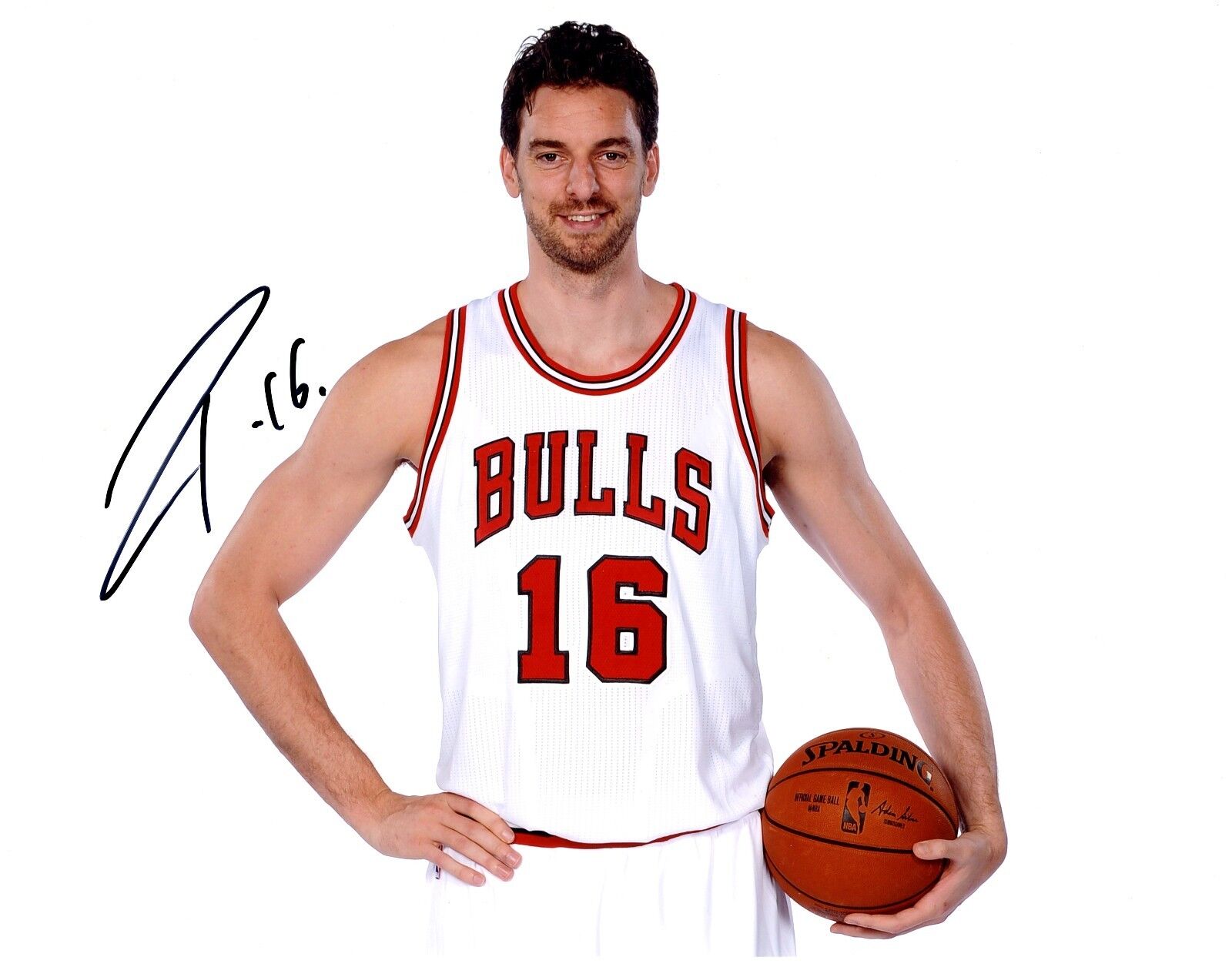 Pau Gasol Signed 11x14 Photo Poster painting Will Pass PSA COA Autograph Auto Chicago Bulls