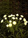 Outdoor Solar Garden Lights Waterproof LED Mushroom Jellyfish Lawn Light Reusable Color Change Gardening Stake Lighting for Courtyard Landscape Lawn Light