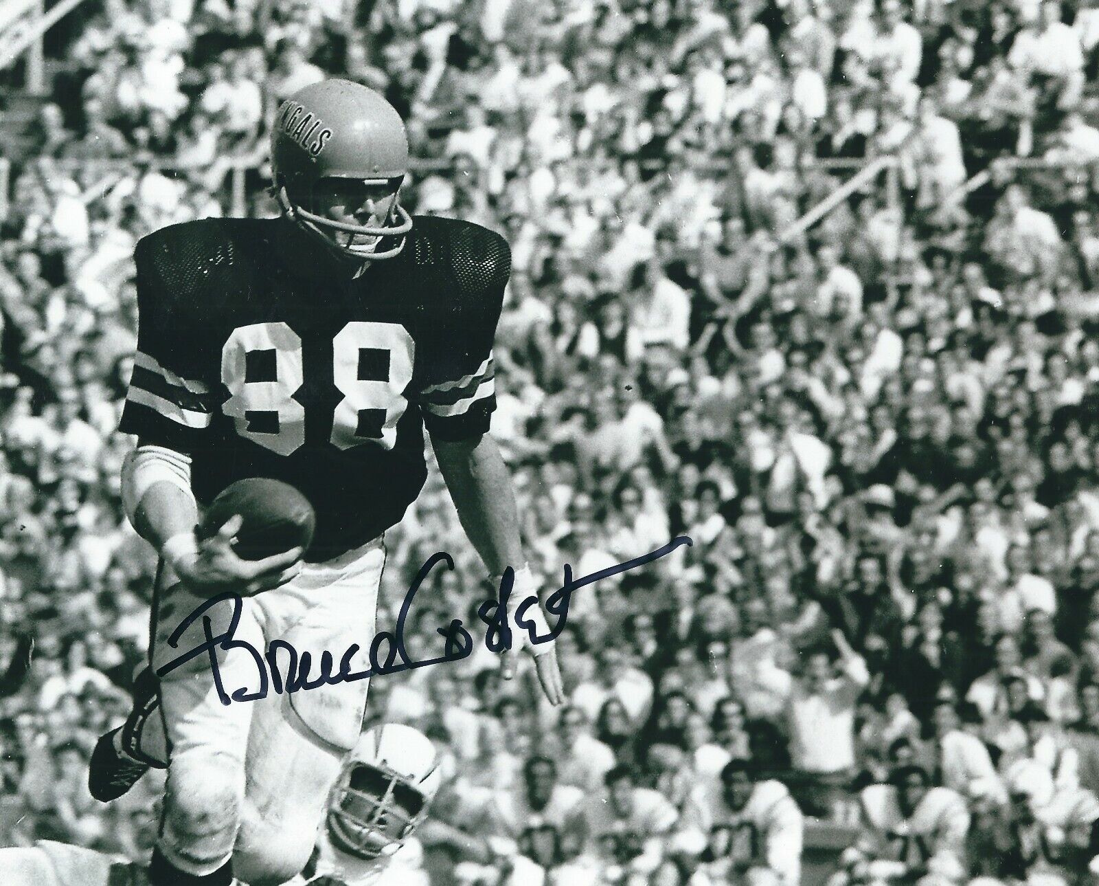 Autographed 8x10 BRUCE COSLET Cincinnati Bengals Autographed Photo Poster painting - w/COA