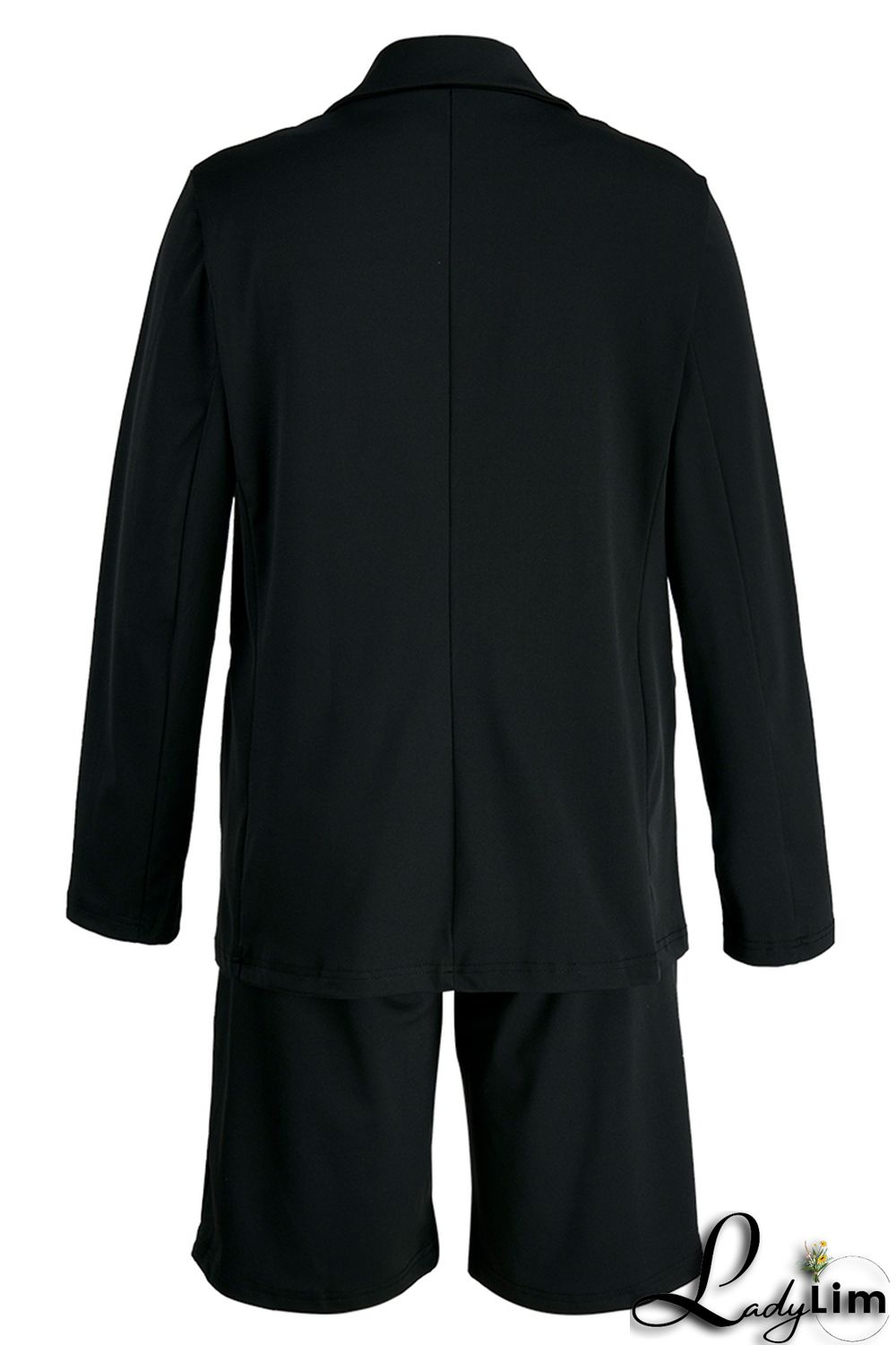 Blue Fashion Casual Solid Basic Turndown Collar Long Sleeve Two Pieces
