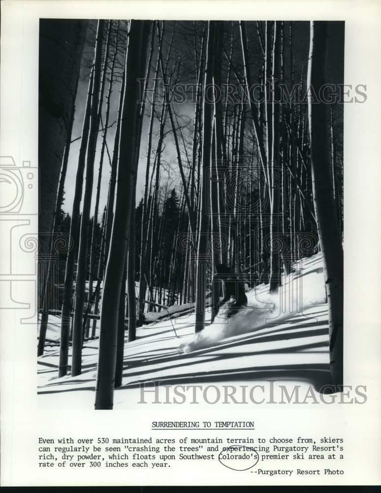 Press Photo Poster painting A skier goes downhill at the Purgatory Resort in Colorado