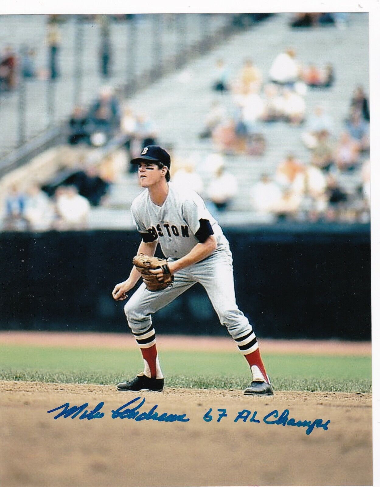 MIKE ANDREWS BOSTON RED SOX 1967 AL CHAMPS ACTION SIGNED 8x10