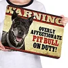 Pets Dog Warning - Vintage Metal Signs - 20*30cm/30*40cm - Warning