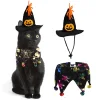 Chapeaux et Bavoir pour animaux de compagnie