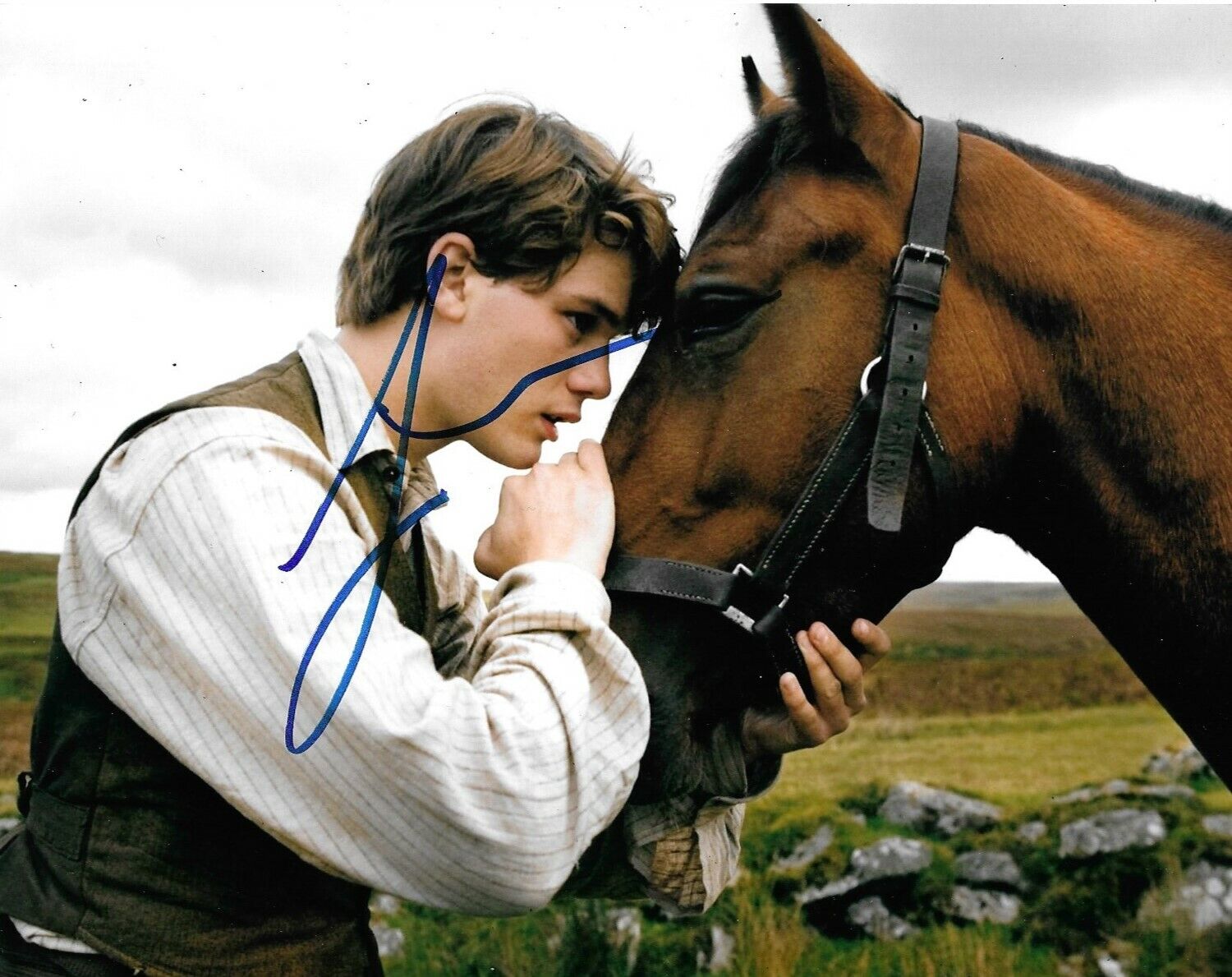 Jeremy Irvine Signed War Horse 10x8 Photo Poster painting AFTAL