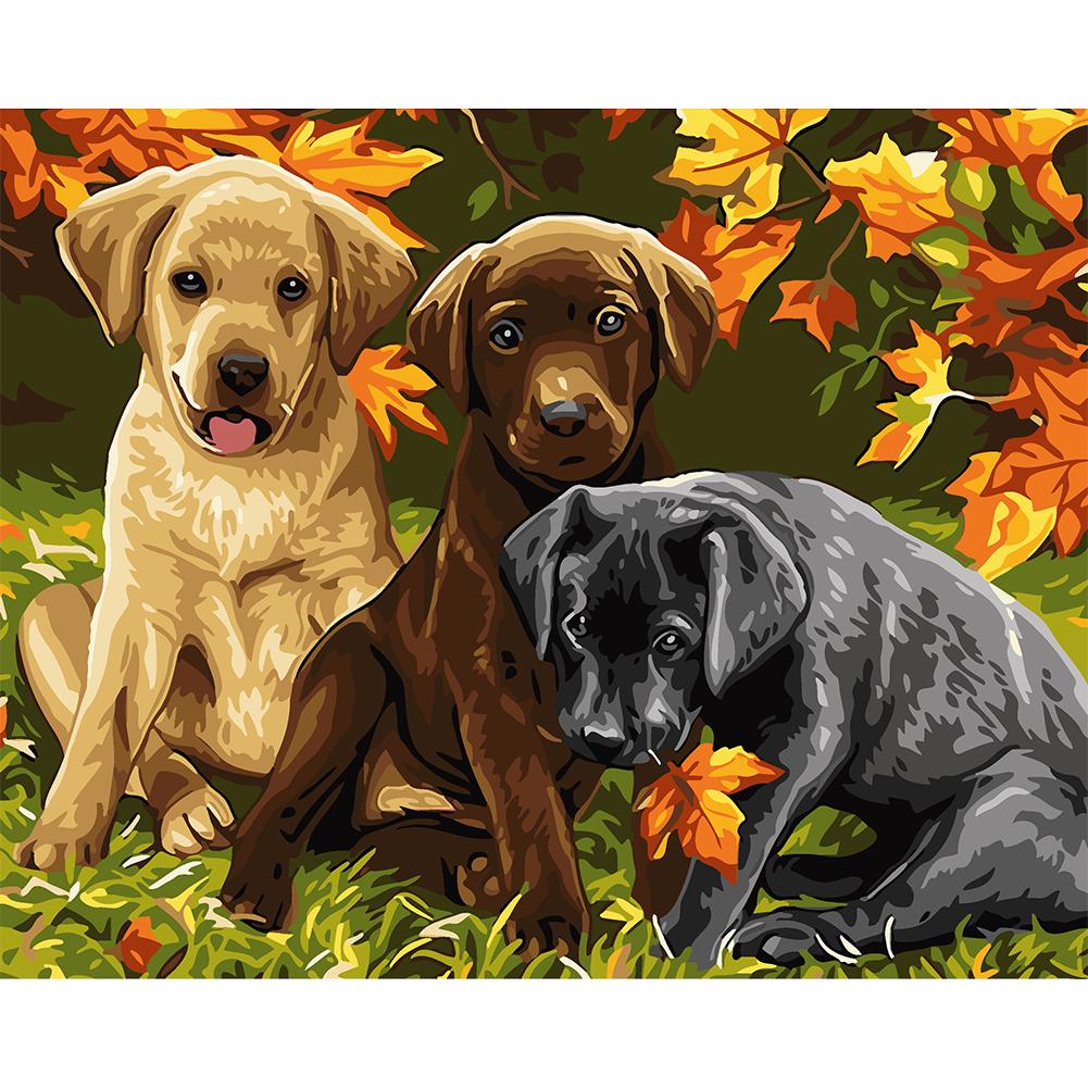 

40*50CM Paint By Numbers-Leaves Dogs, 501 Original