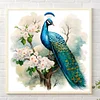 Diamond Painting-DIY Full Round Drill Peacock(35*35 CM)