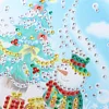 Christmas LED Hanging Lights DIY Double Sided Diamond Painting Handmade Kit