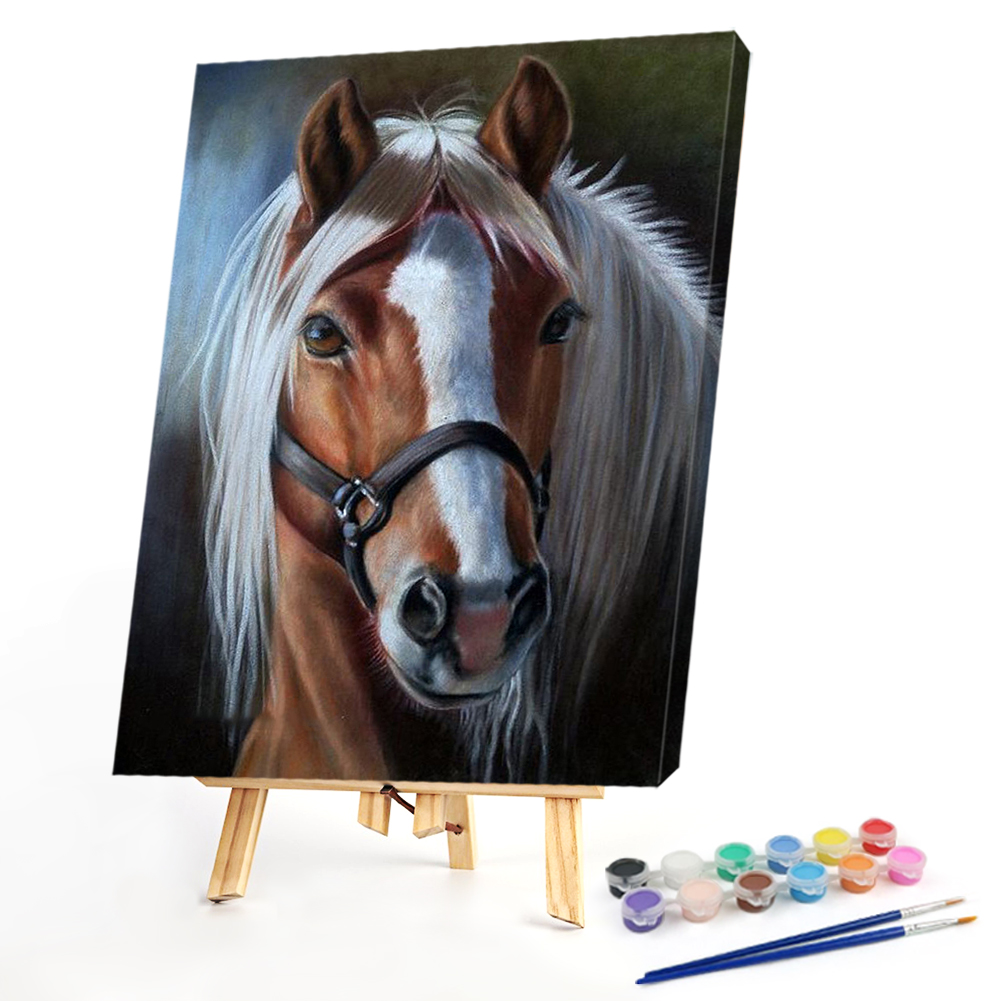 

40*50CM - Paint By Numbers - Horse, 501 Original