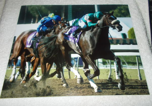 MIKE SMITH ZENYATTA 2008 BREEDERS CUP CLASSIC SIGNED 8x10 HORSE RACING Photo Poster painting