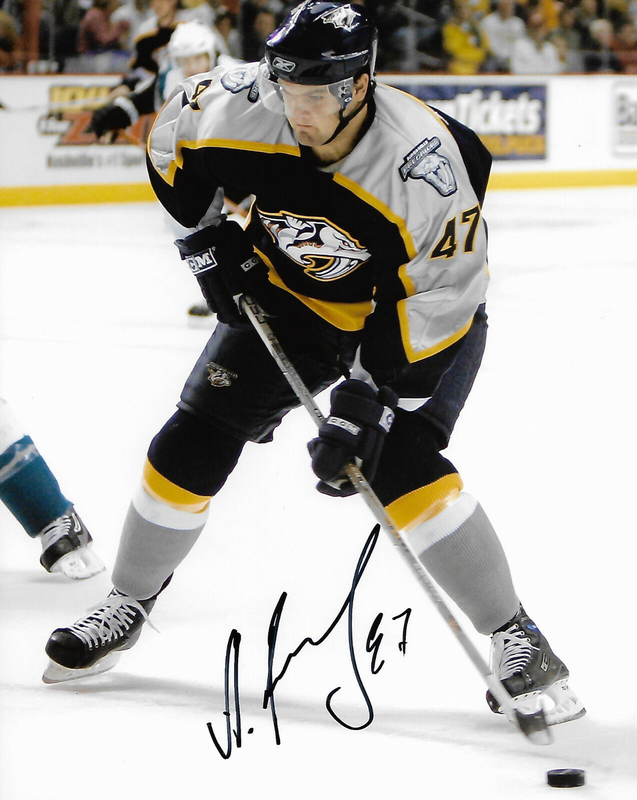 Nashville Predators Alexander Radulov Signed Autographed 8x10 NHL Photo Poster painting COA H