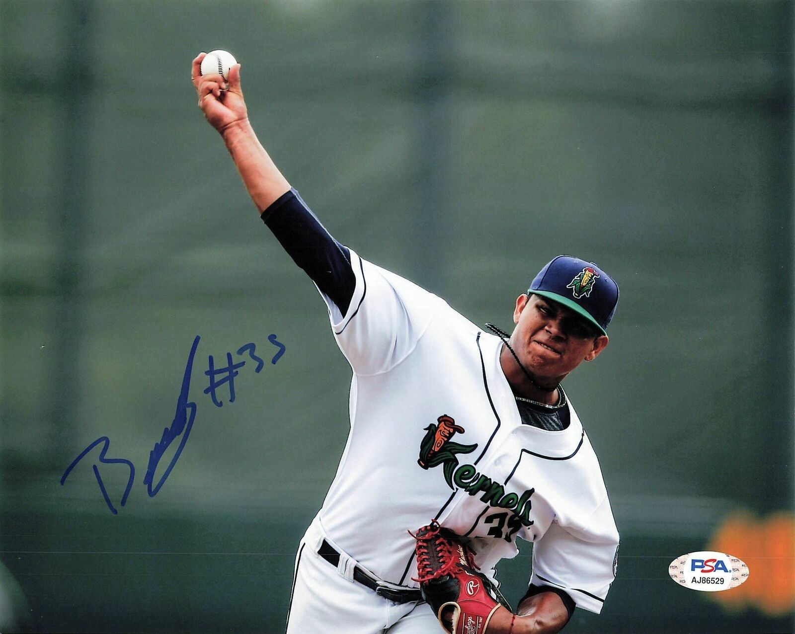Brusdar Graterol signed 8x10 Photo Poster painting PSA/DNA Minnesota Twins Autographed