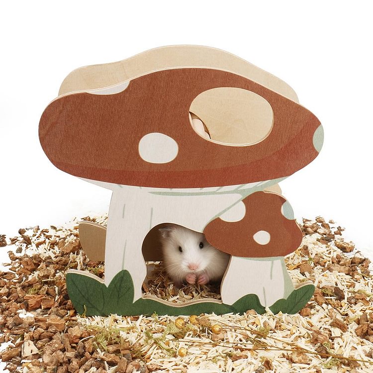 mushroom hamster