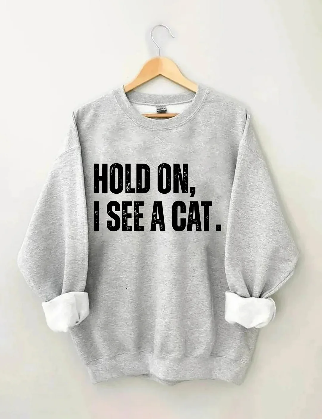 Hold On I See A Cat Sweatshirt