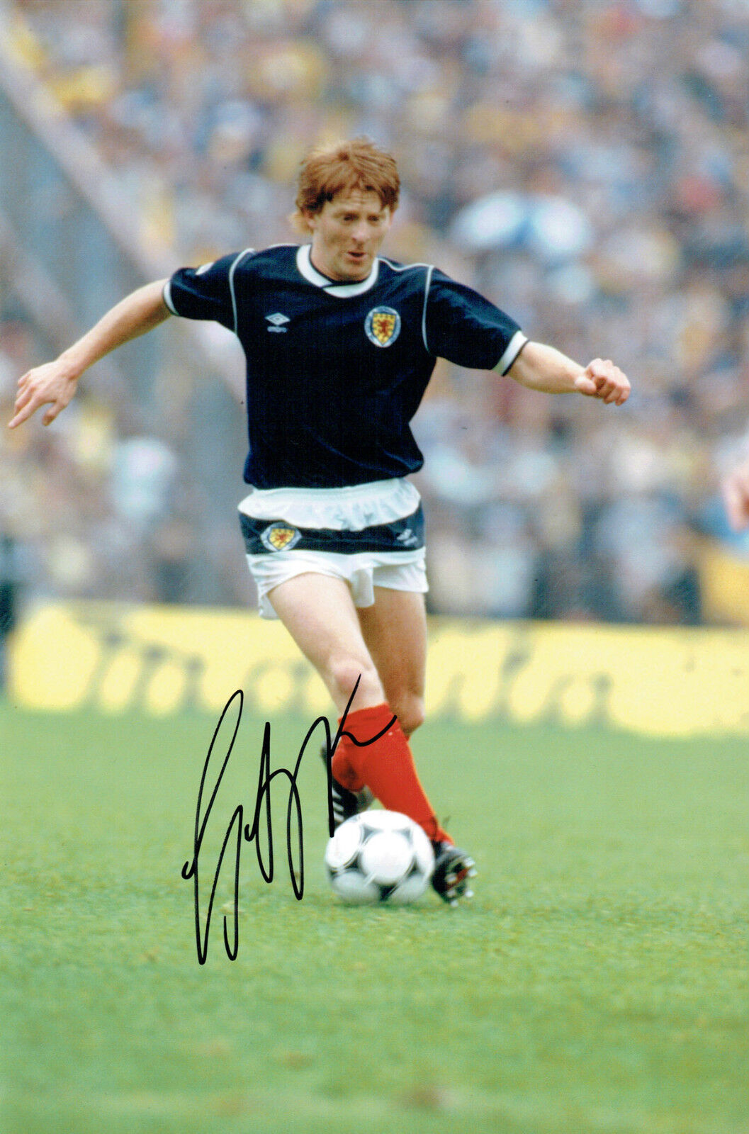 Gordon STRACHAN Signed Autograph 12x8 Photo Poster painting AFTAL COA SCOTLAND Football Legend