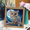 5D DIY Partial Special Shaped Drill Diamond Painting With Frame Kit Owl Decor 19.2x19.2cm
