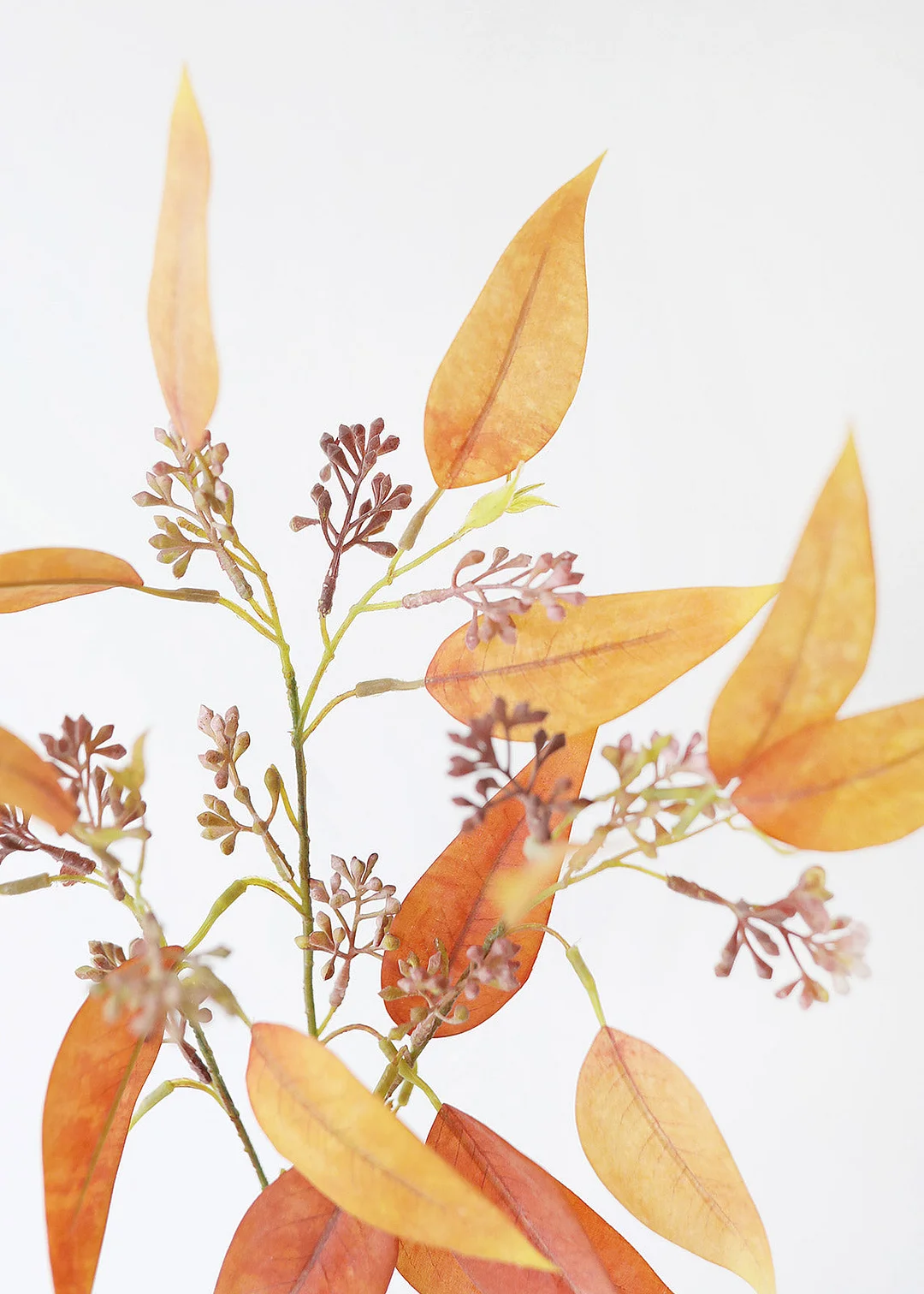 Fake Terracotta Eucalyptus Leaves - 23"