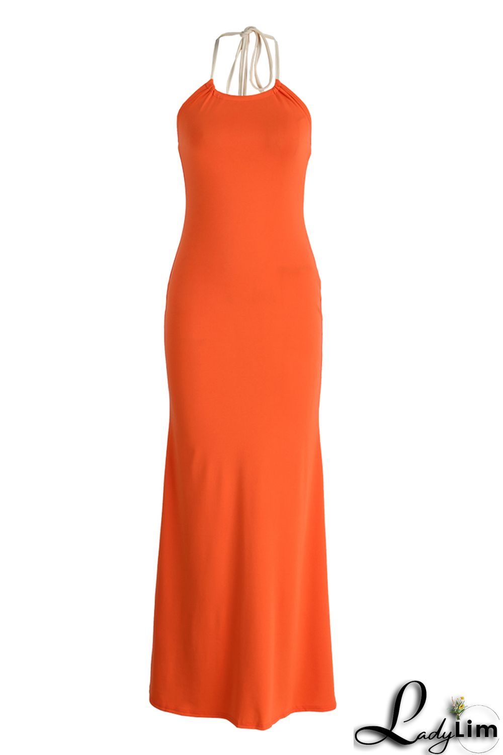 Black Fashion Sexy Solid Backless Halter Long Dress