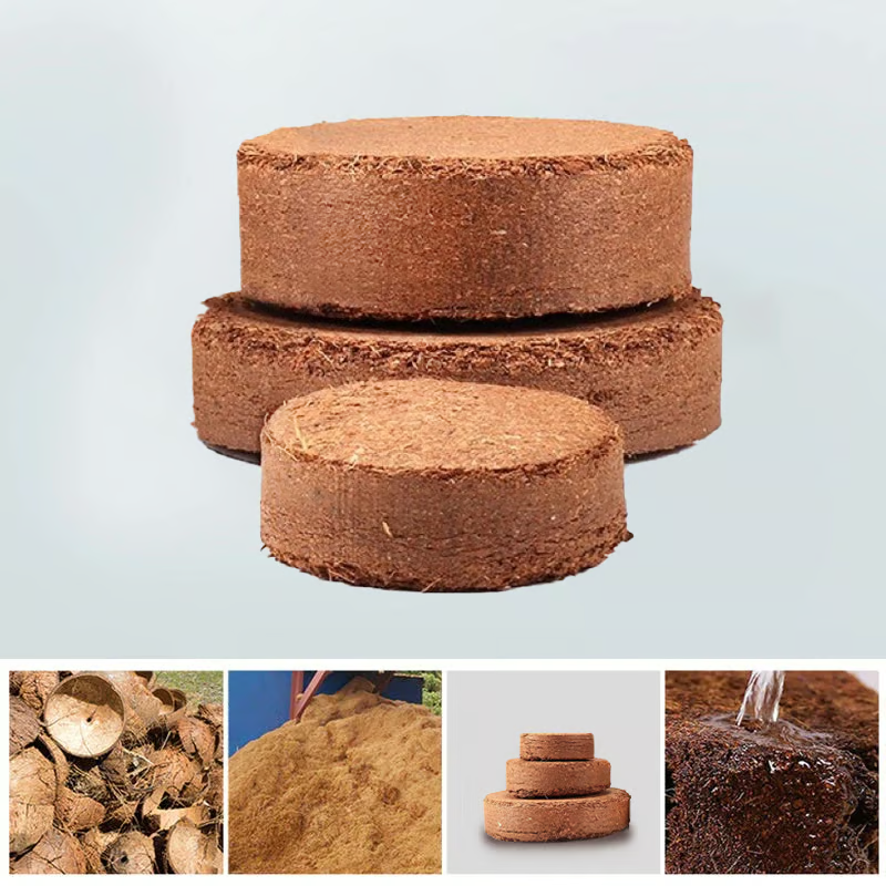🔥 LAST DAY 49% OFF 🌱 Premium Organic Coconut Coir Bricks For Plants