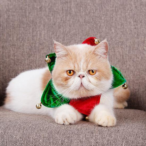 Christmas decoration collar