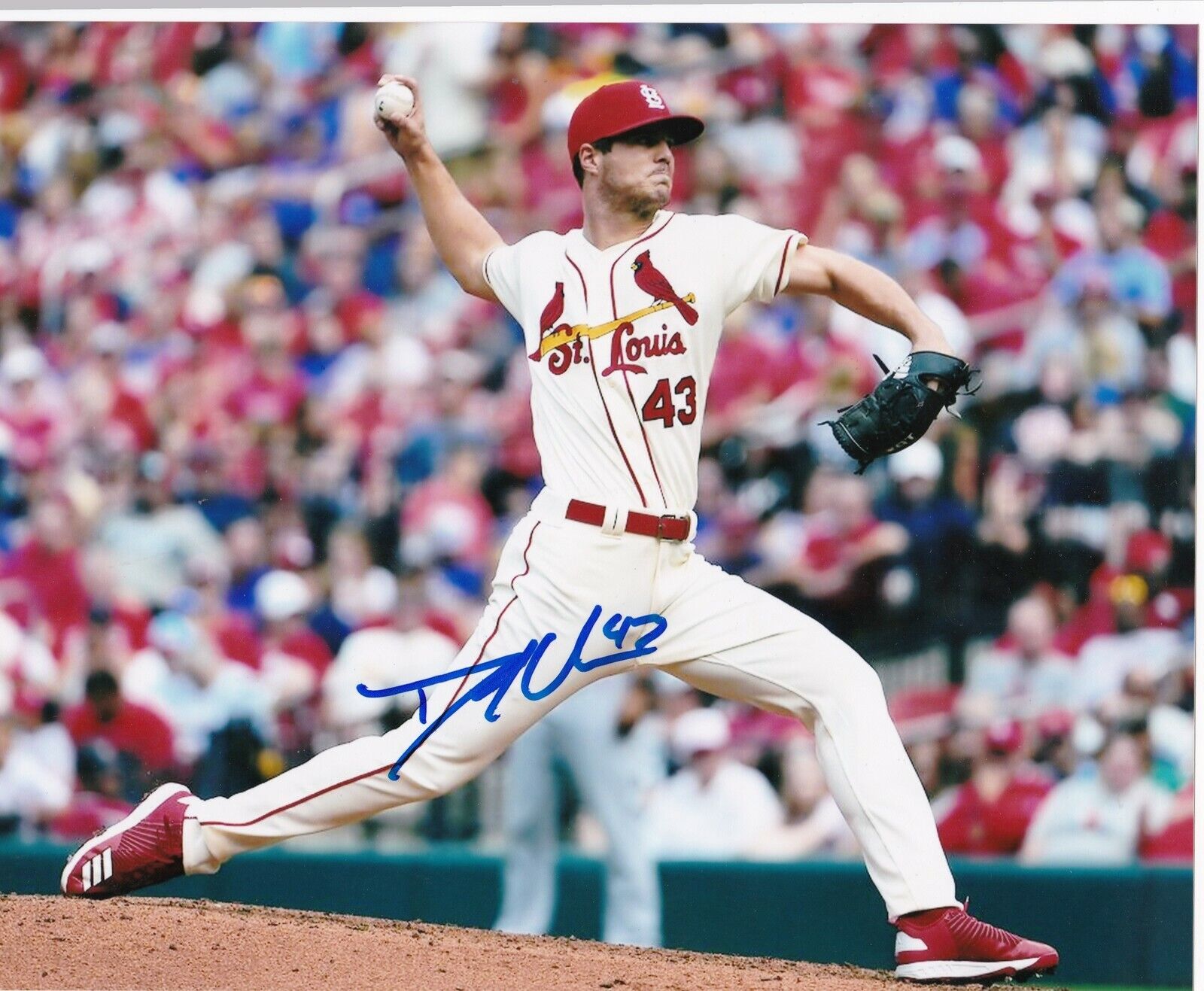 DAKOTA HUDSON ST. LOUIS CARDINALS ACTION SIGNED 8x10