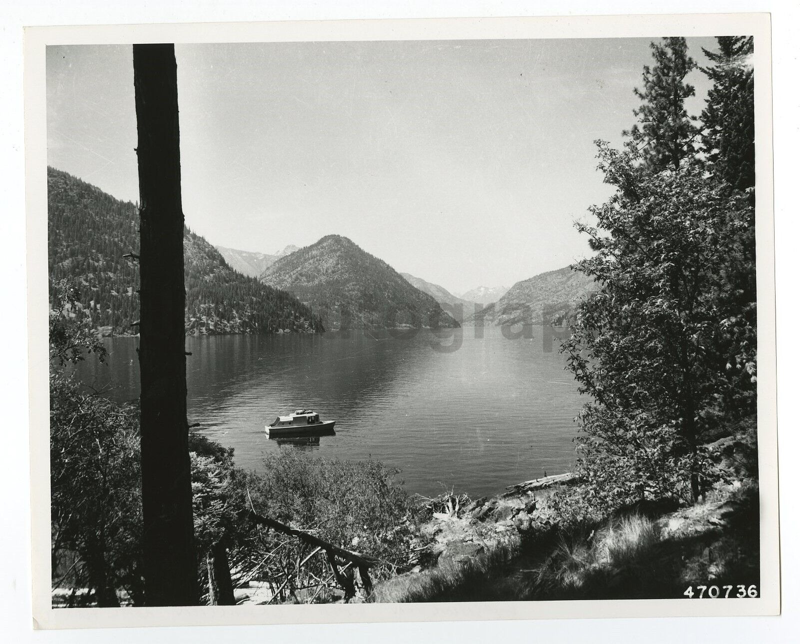 Washington State - Vintage 8x10 Publication Photo Poster paintinggraph - Okanogan Forest