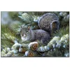 Squirrel | Full Round Diamond Painting Kits