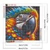 Diamond Painting -DIY Round Drill Parrot(40x40cm)