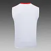 2025/2026 Bayern Munich Pre-Match Training 125th Anniversary of White Vest+Shorts Football1:1 Thai Quality