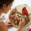 Warm Brew Cardinal DIY 14CT 2 Strands Stamped Cross Stitch Kit for Adults tapestrymarket
