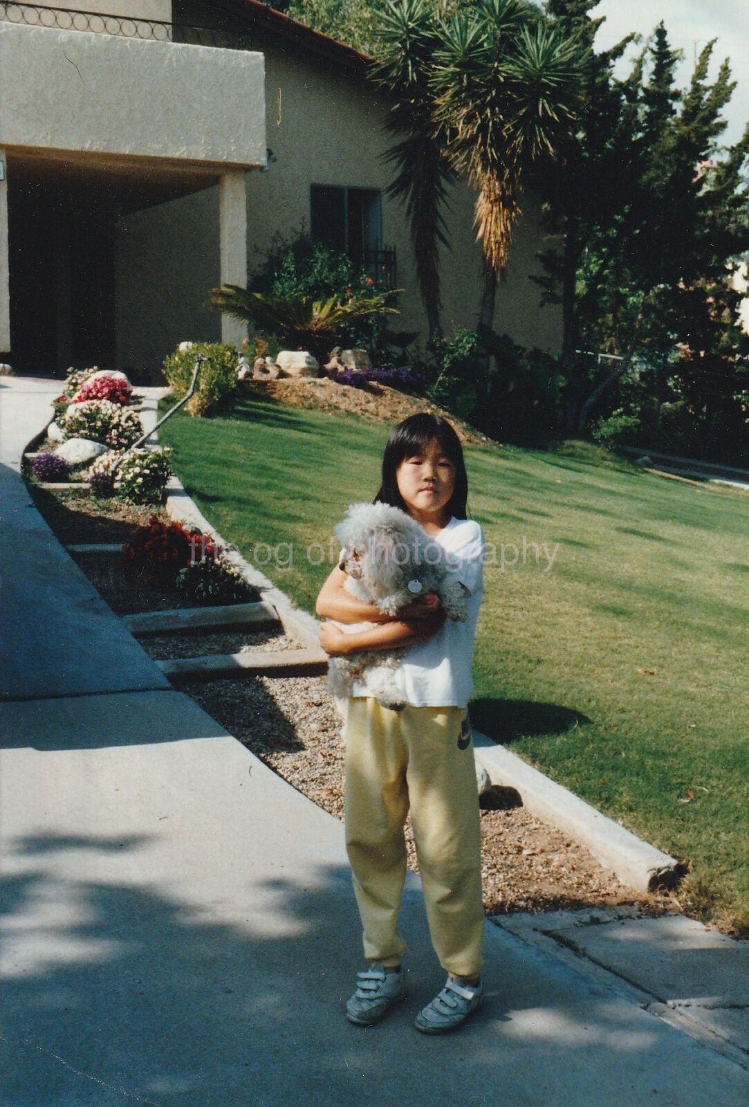 Portrait Of A Girl And Her Dog FOUND Photo Poster painting ColorOriginal 92 2 U