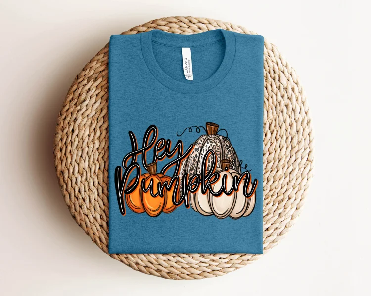 Thanksgiving Sweatshirt, Hey Pumpkin Hoodie, Thanksgiving Hoodie socialshop