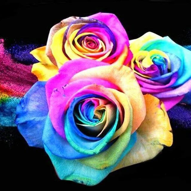 Diamond Painting - Full Round/Square Drill - Colorful Rose(30*30 - 50*50cm)