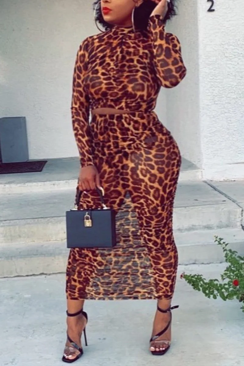 Sexy Mesh Perspective Leopard Two-Pieces