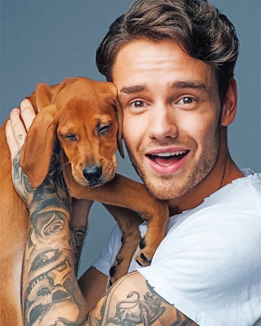 

Liam Payne And His Puppy – Paint By Numbers - 40*50CM, 501 Original