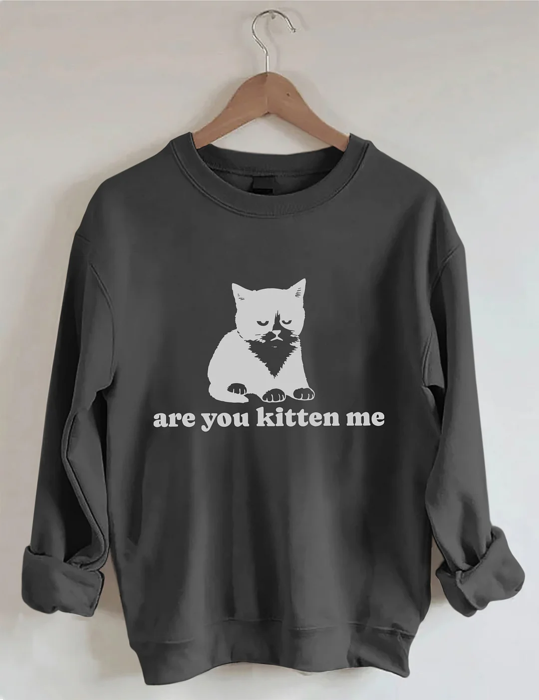 Are You Kitten Me Sweatshirt