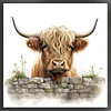(US Only)Full Embroidery cotton Thread 11CT Count Highland Yak Cross Stitch 40x40cm
