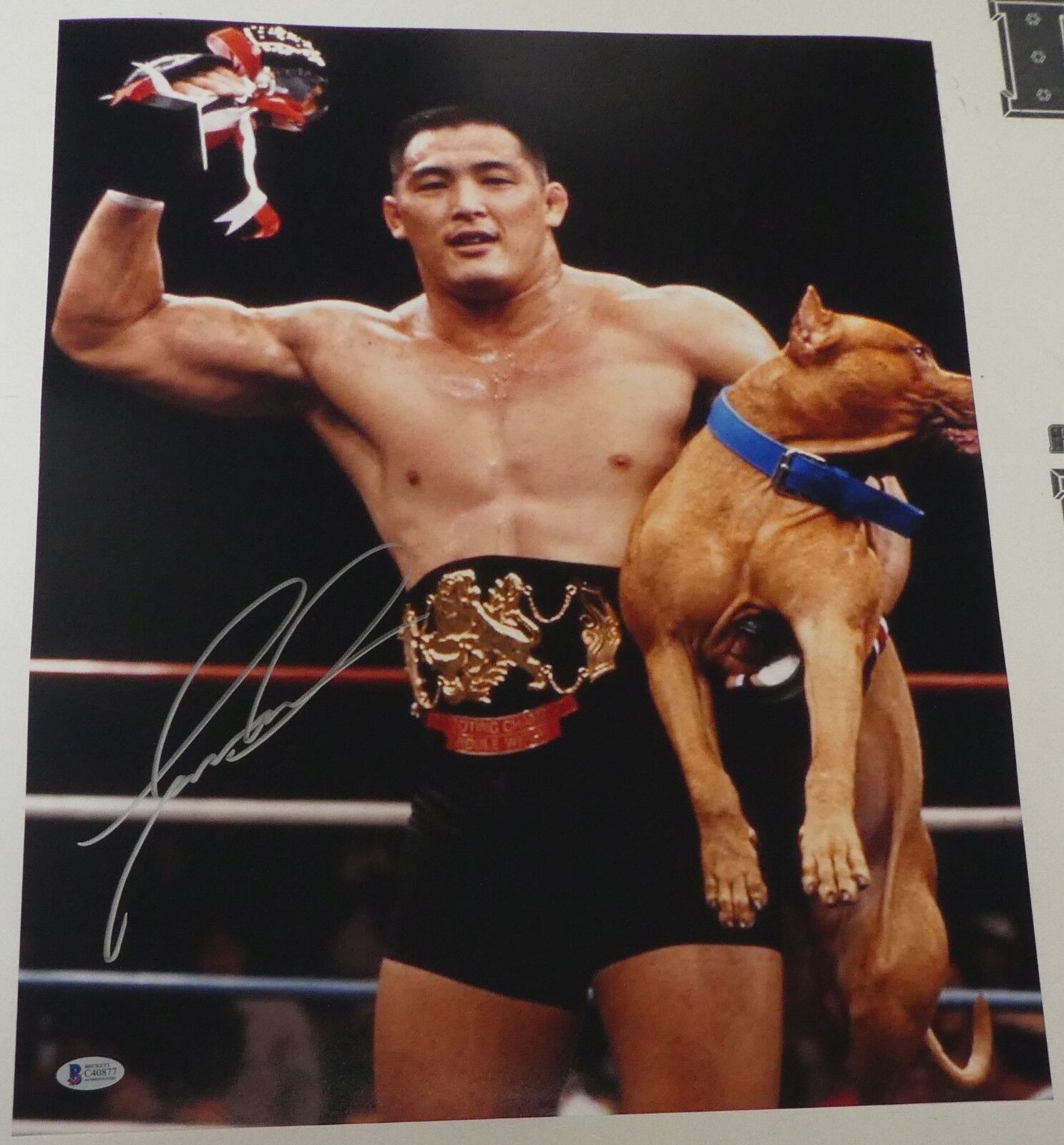Enson Inoue Signed 16x20 Photo Poster painting BAS COA UFC Pride FC Vale Tudo Japan Picture Auto