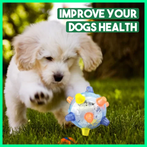 Jumping Activation Ball for Dogs