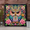 Diamond Painting-DIY Special Shaped Drill Rose Surrounded Mandala Owl with Frame(29x29cm)