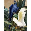 Diamond Painting -DIY Round Drill Blue White
