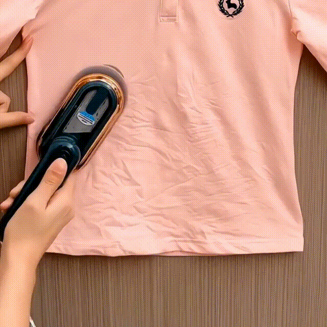 Mini Garment Steamer Steam Iron