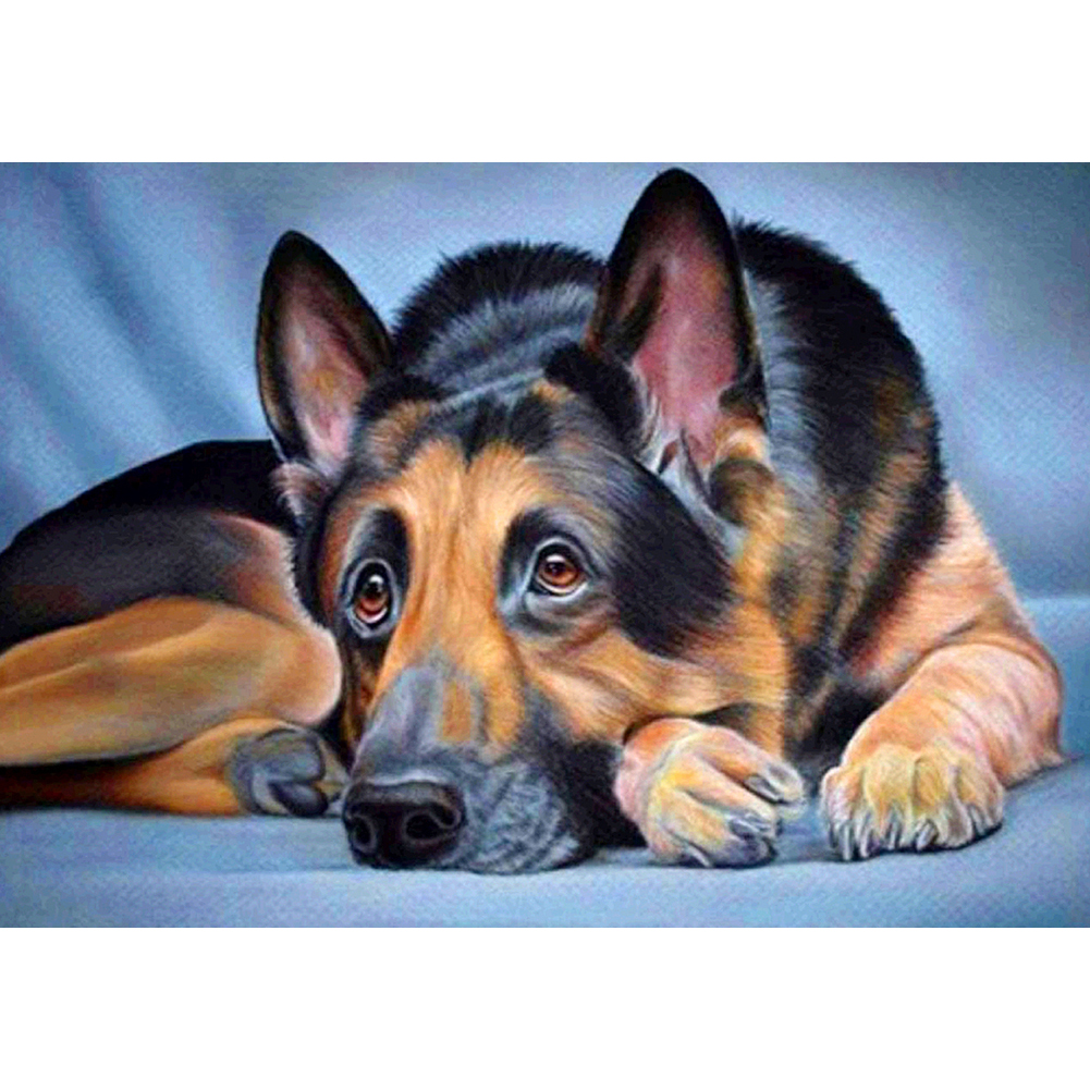 

Puppy - Square Drill Diamond Painting - 40*30CM, 501 Original